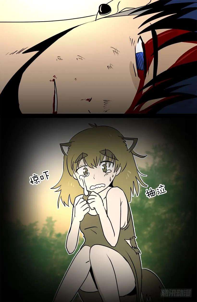 15.jpg