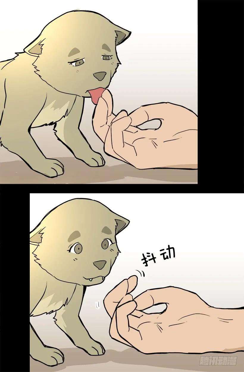 17.jpg