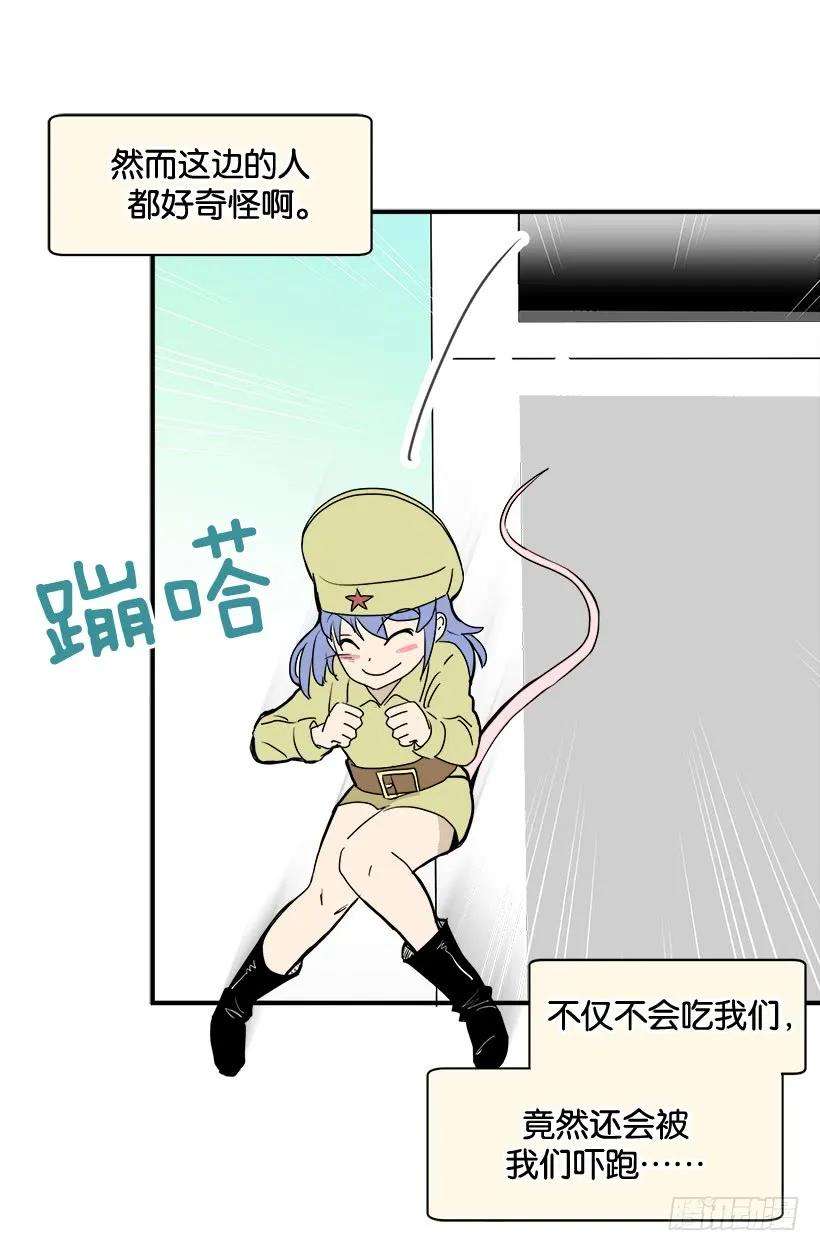 11.jpg