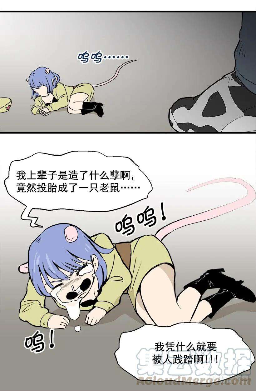 16.jpg