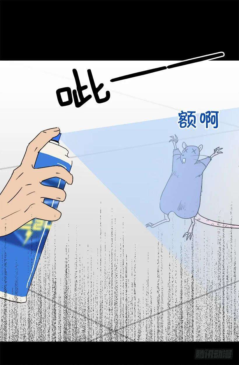 26.jpg
