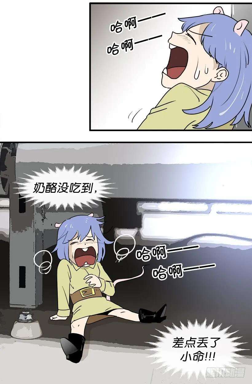14.jpg
