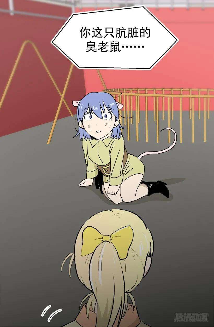 17.jpg