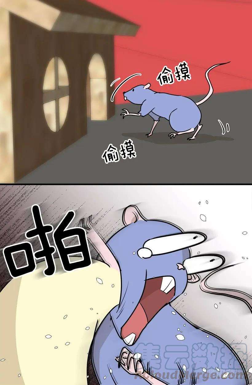 13.jpg