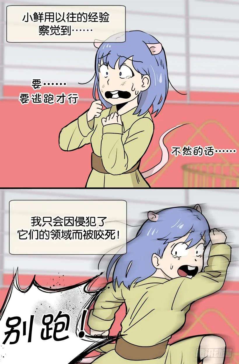 20.jpg