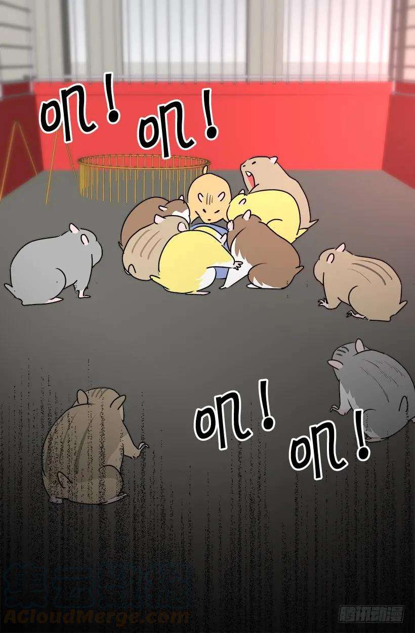 25.jpg