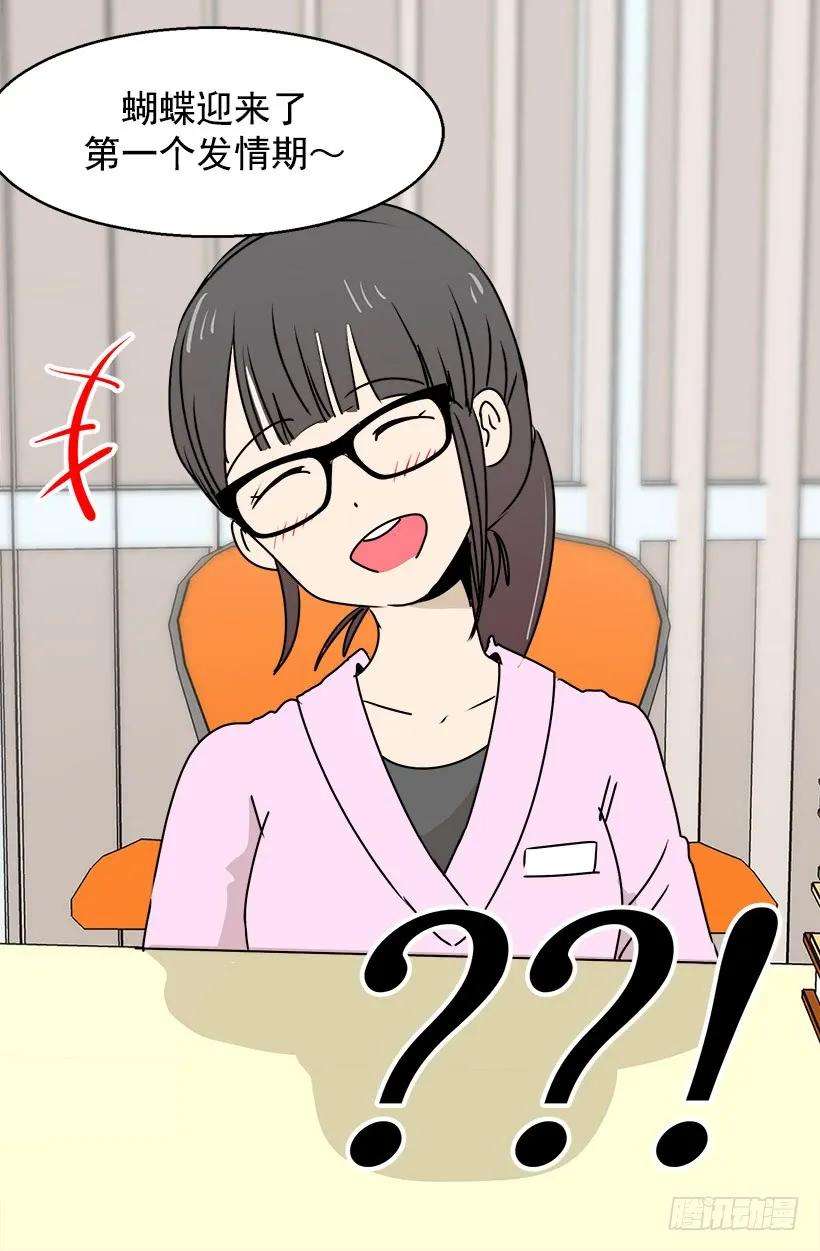 27.jpg