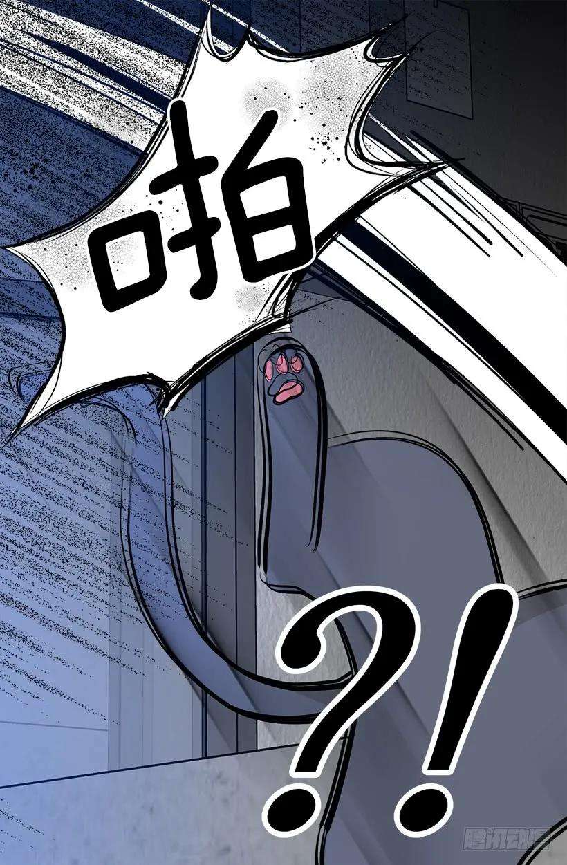 26.jpg