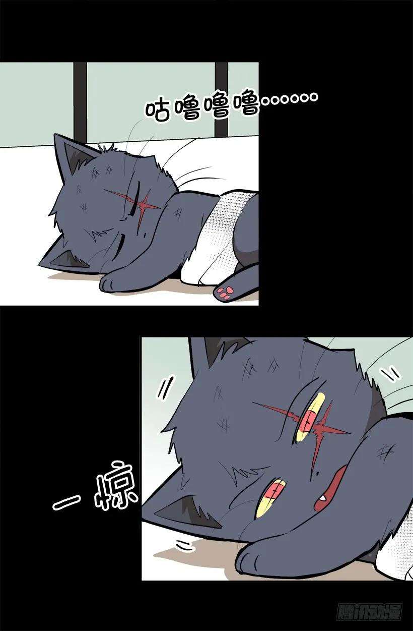17.jpg