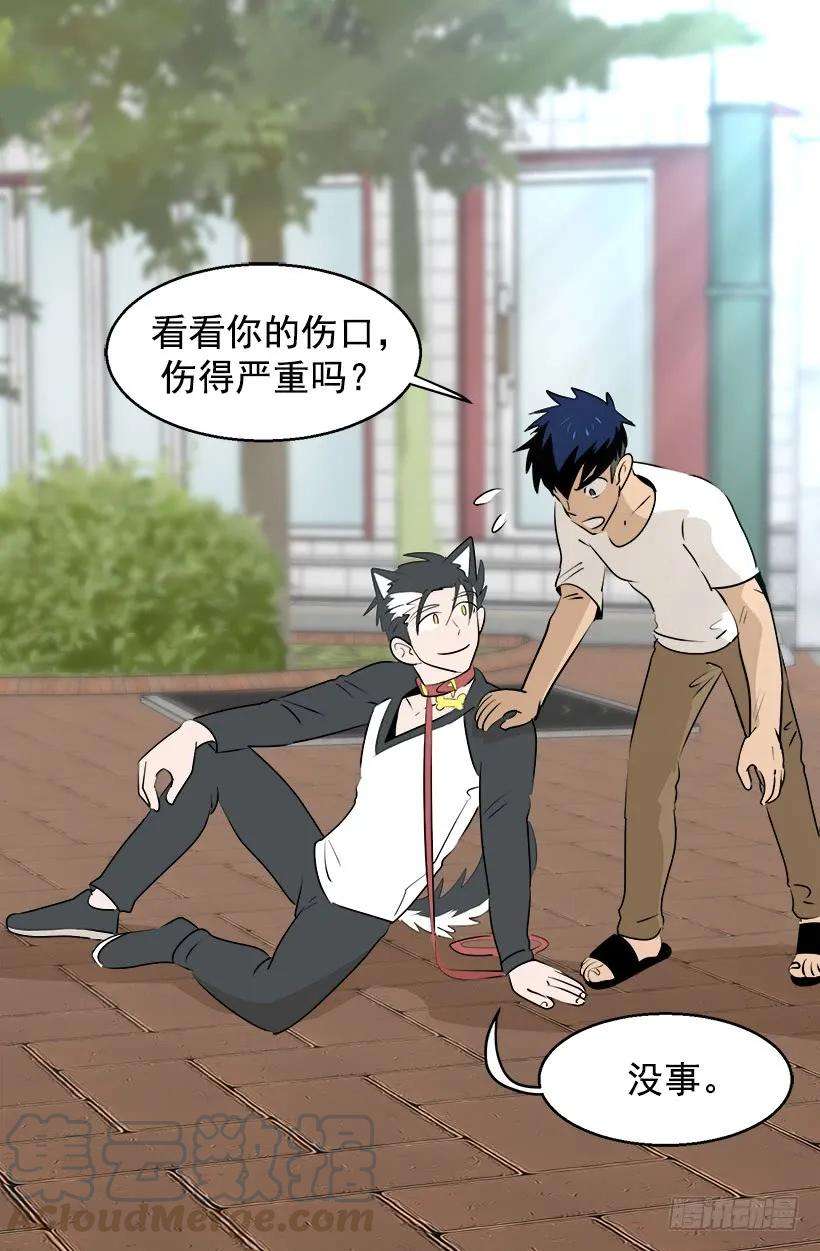 19.jpg