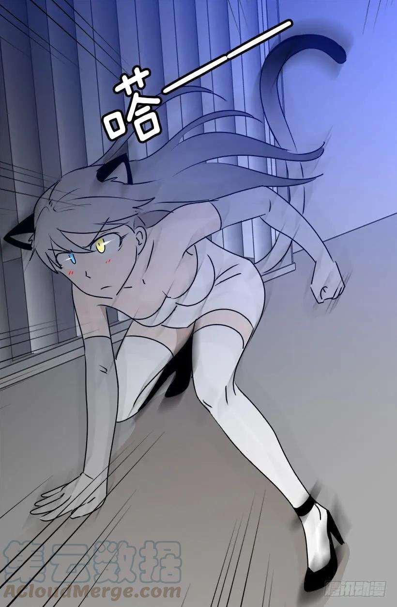 22.jpg