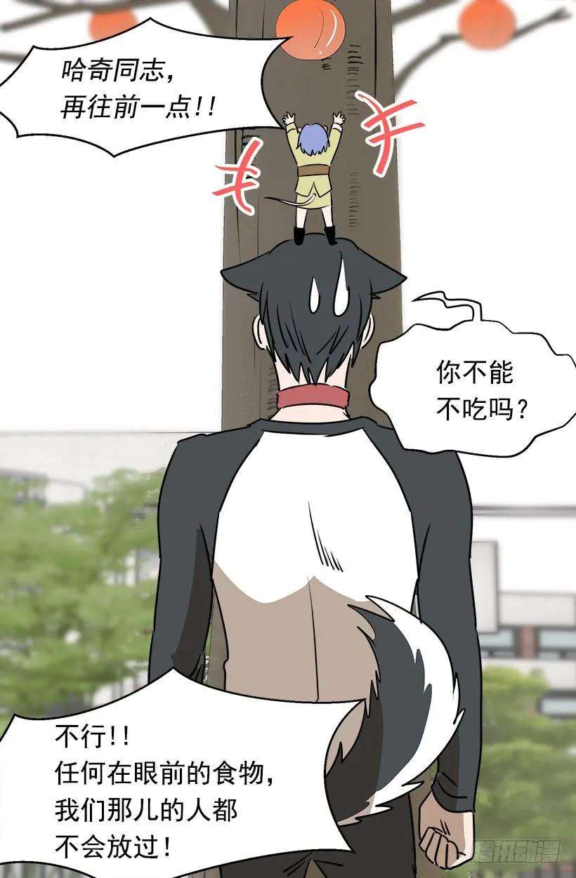 20.jpg