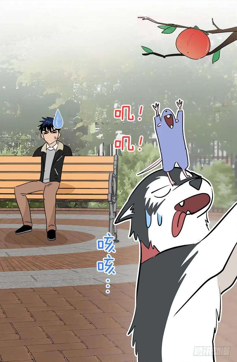 21.jpg