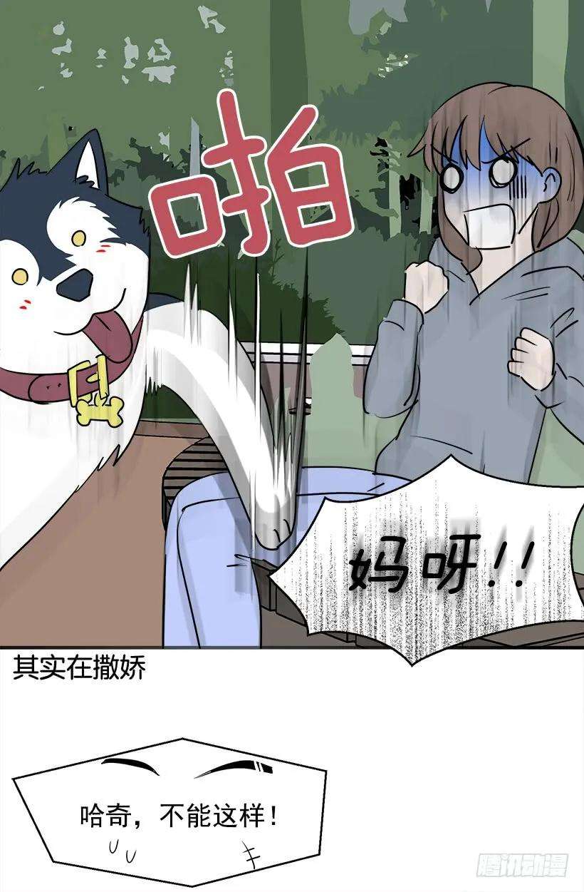 19.jpg