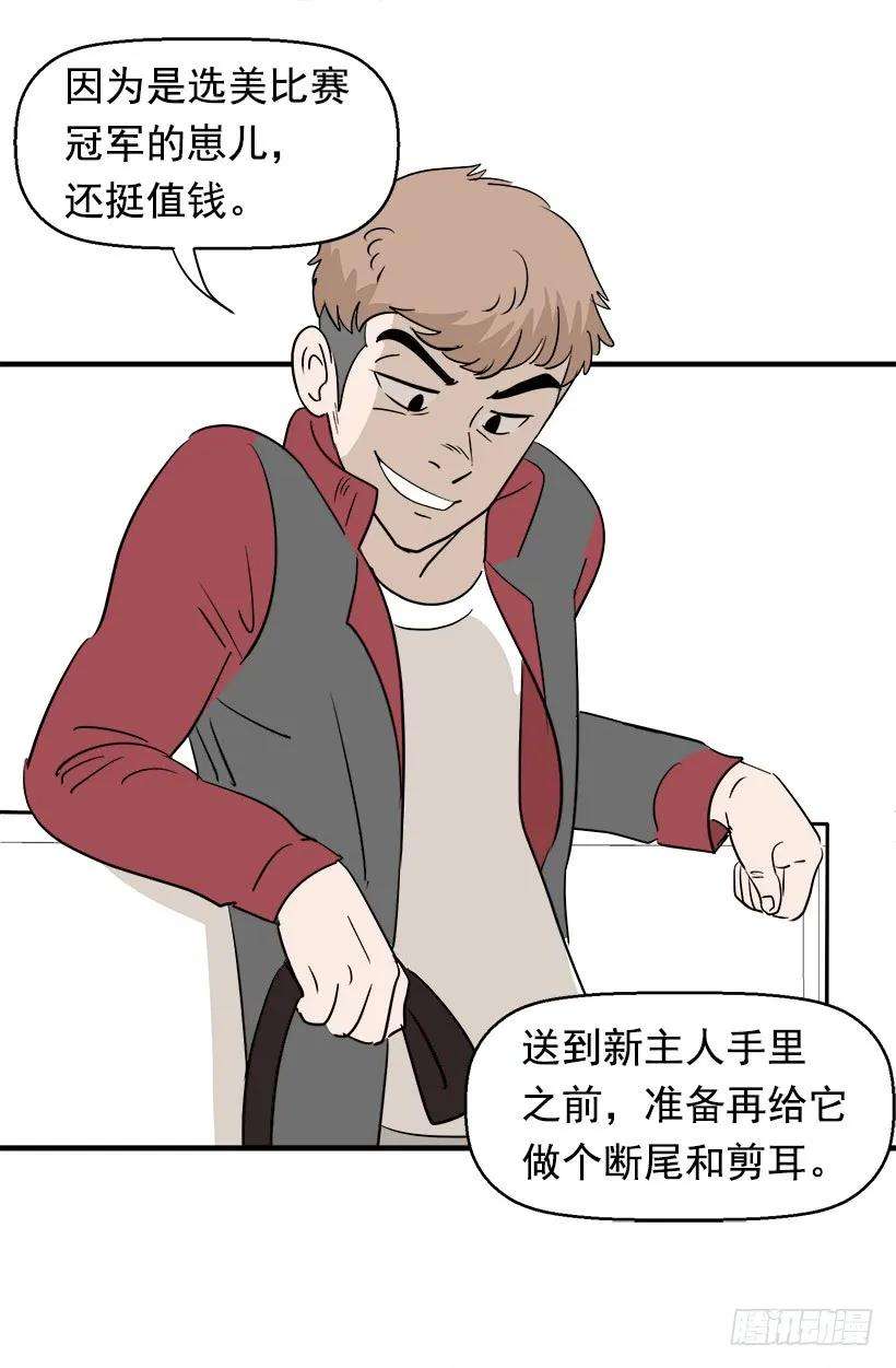14.jpg