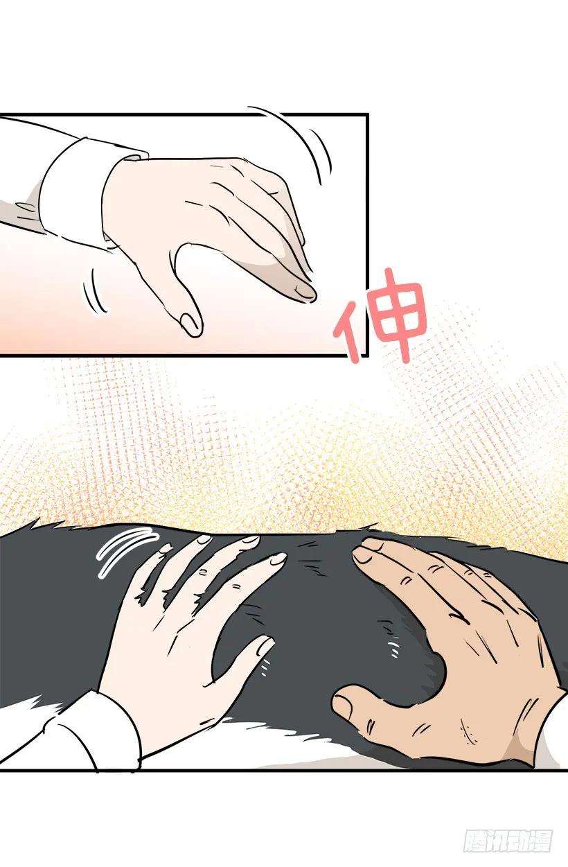 49.jpg