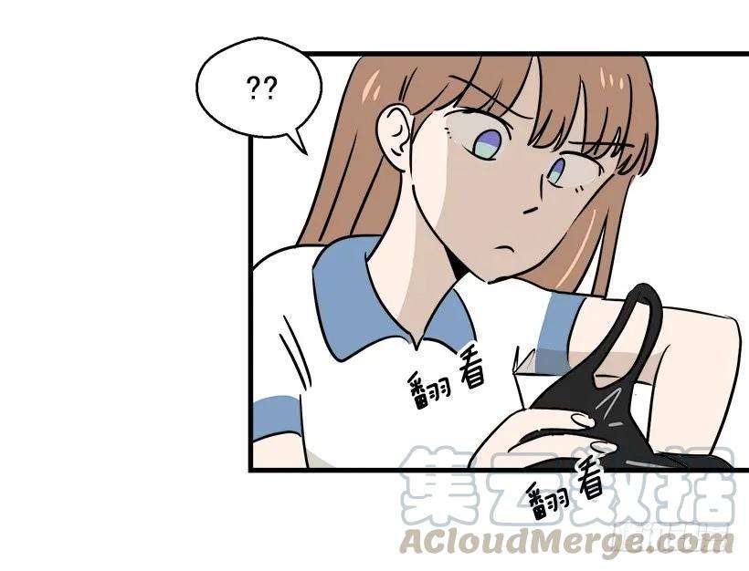 41.jpg