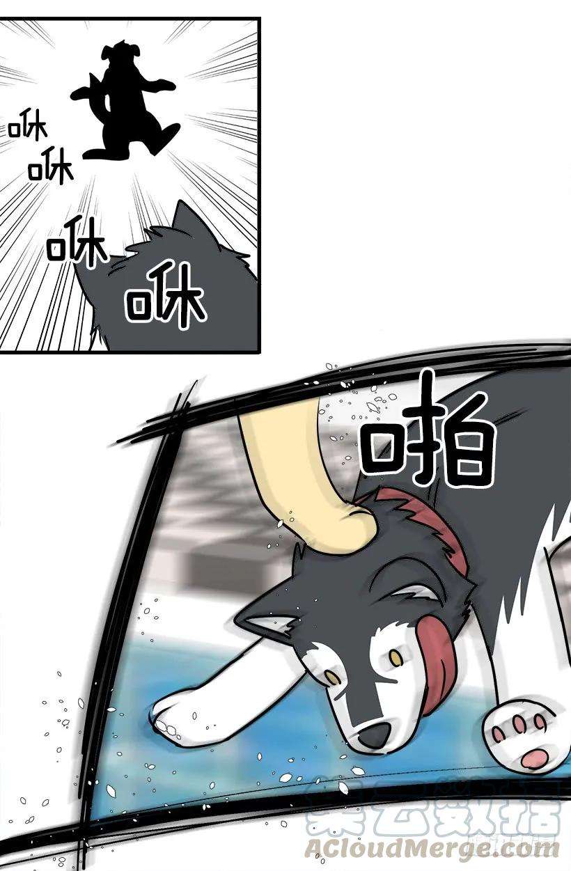 41.jpg