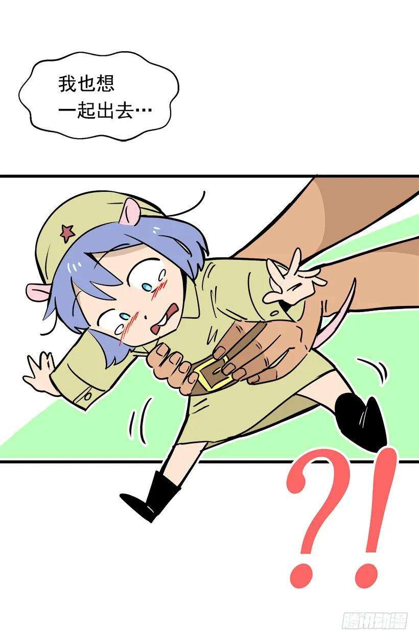 37.jpg