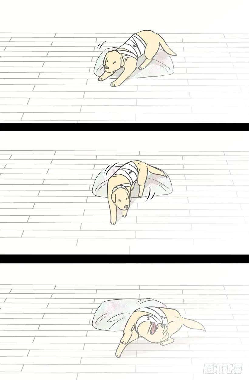 28.jpg