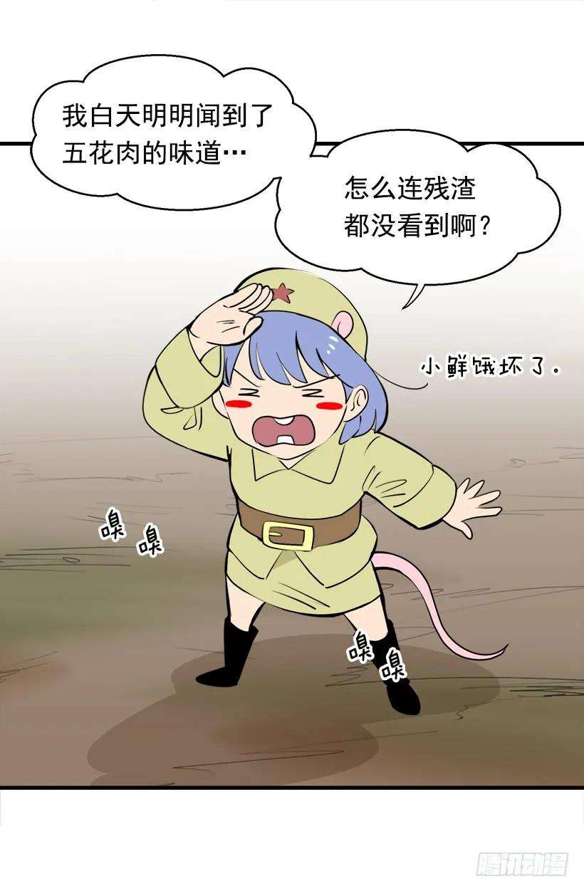 28.jpg