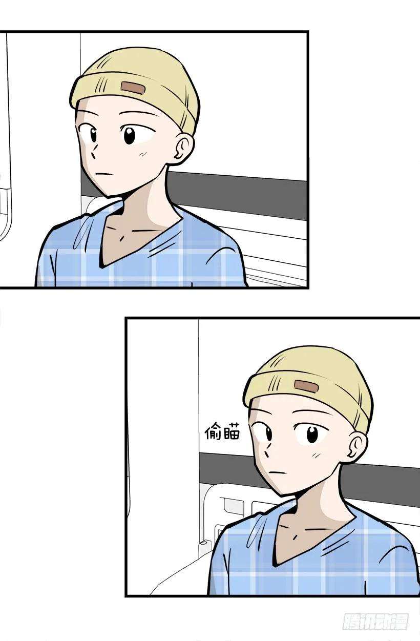 54.jpg