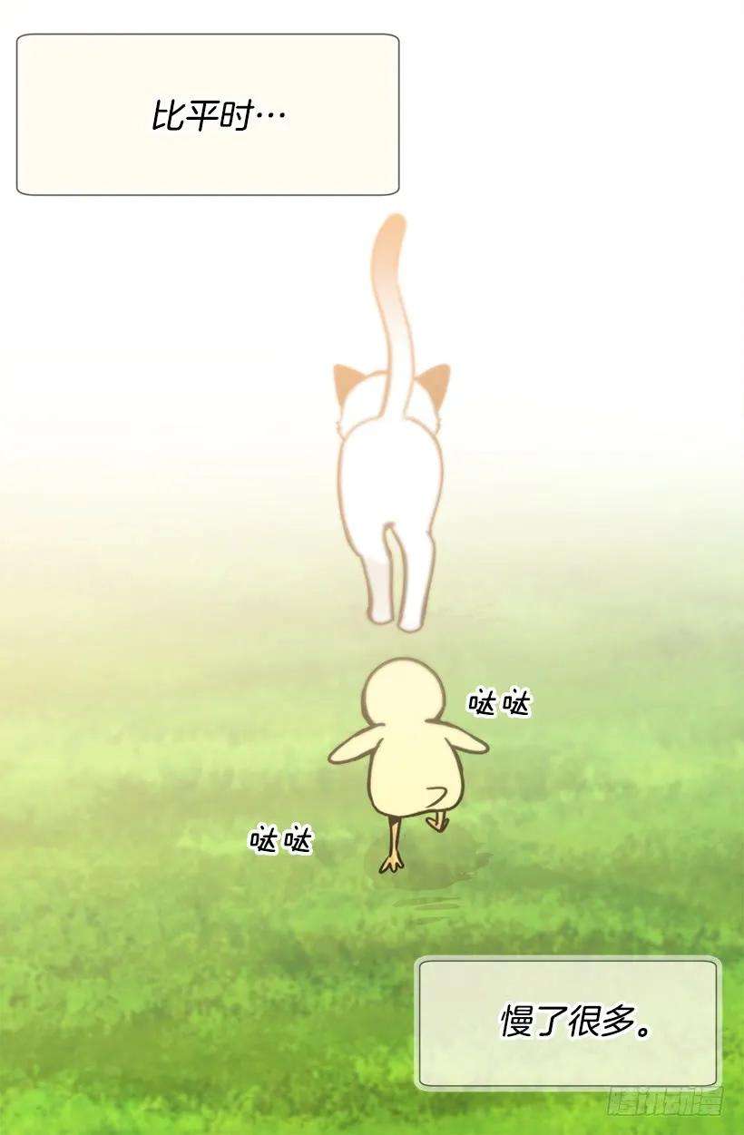 47.jpg