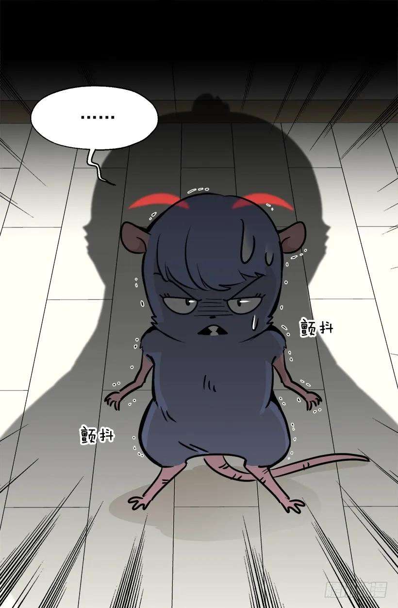 45.jpg
