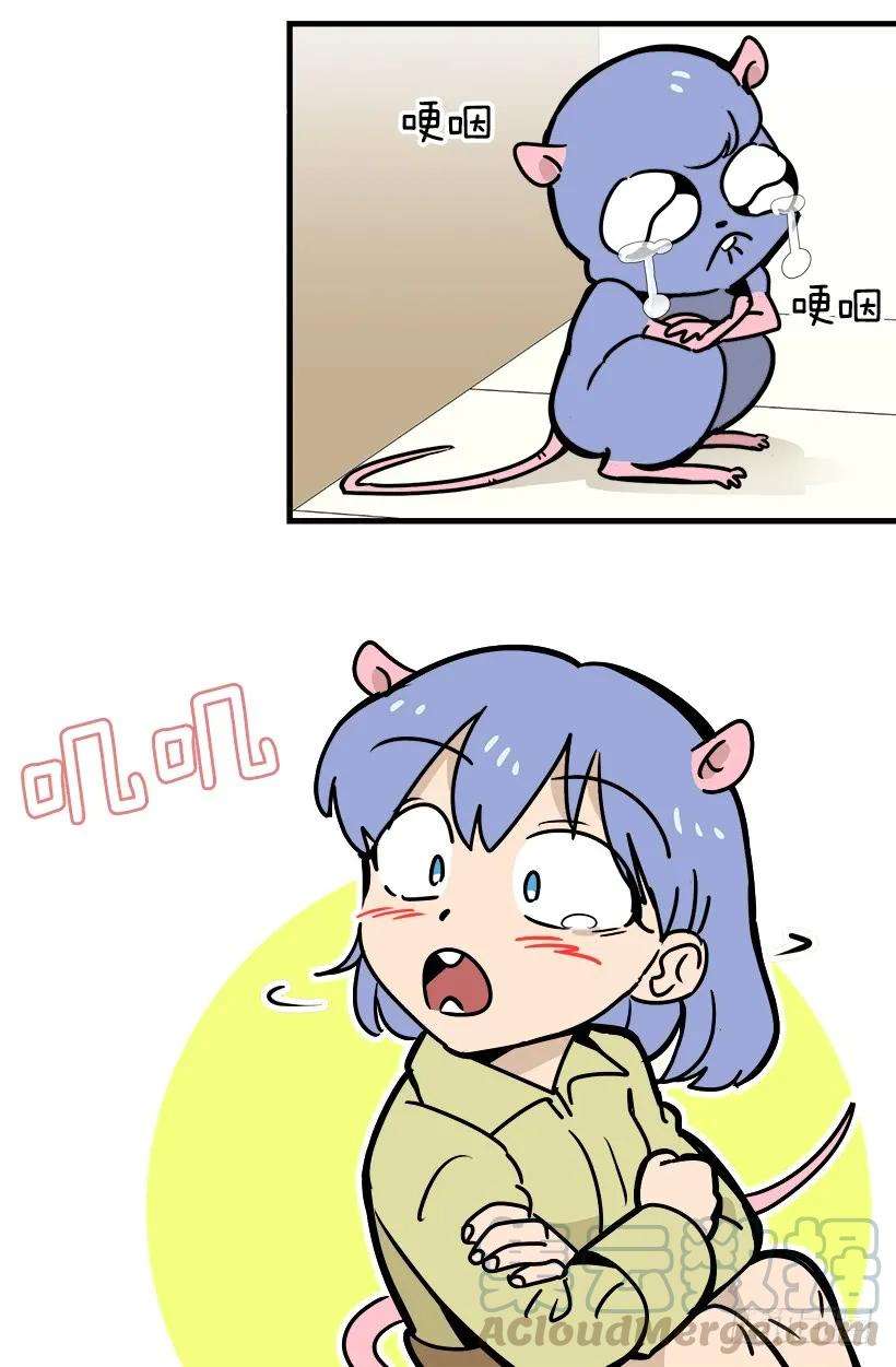 51.jpg