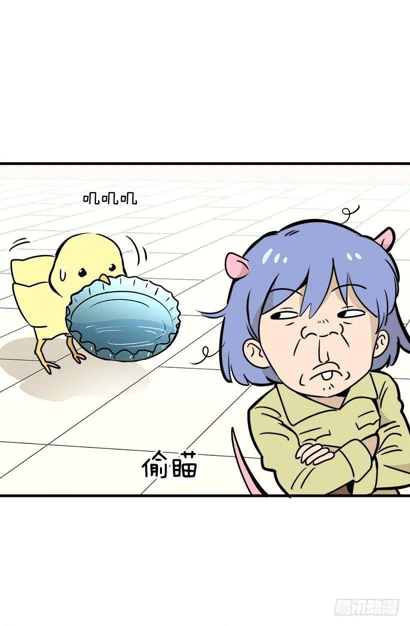 22.jpg
