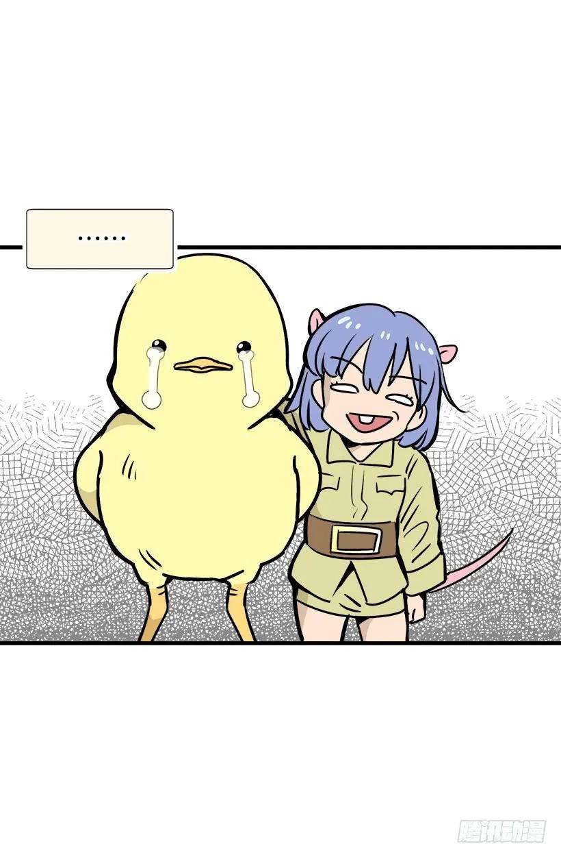 43.jpg