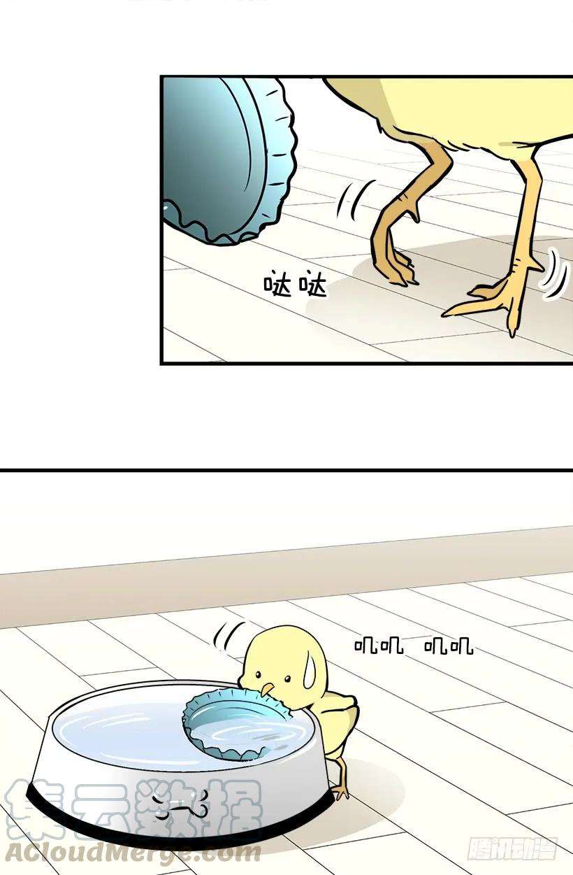 21.jpg