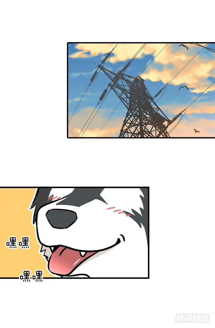 29.jpg