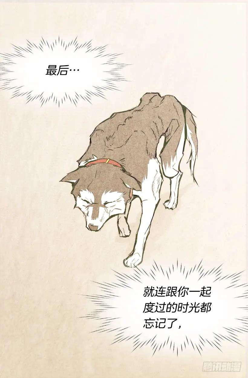 37.jpg