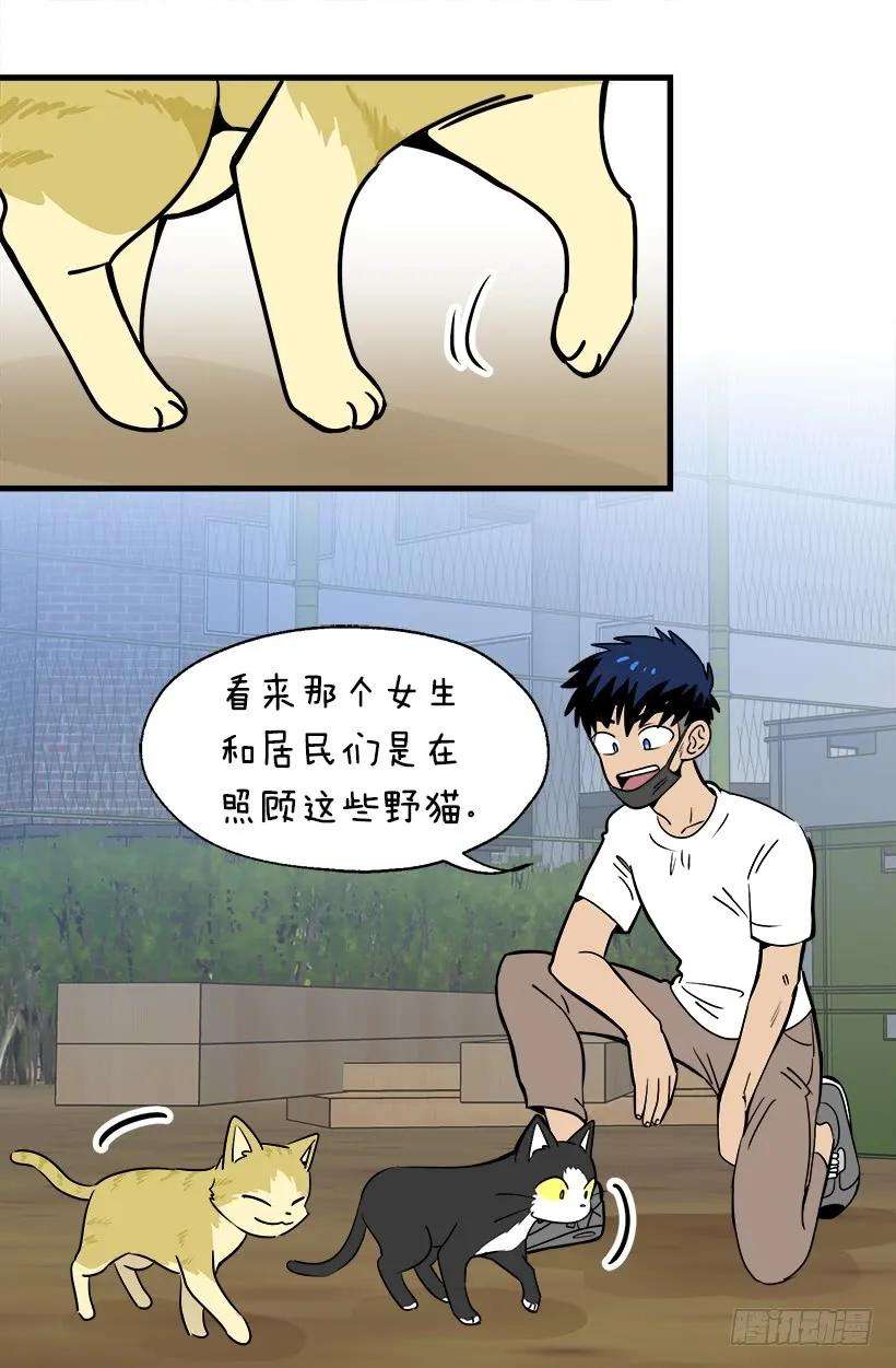 39.jpg
