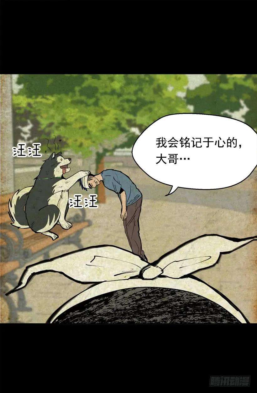 39.jpg