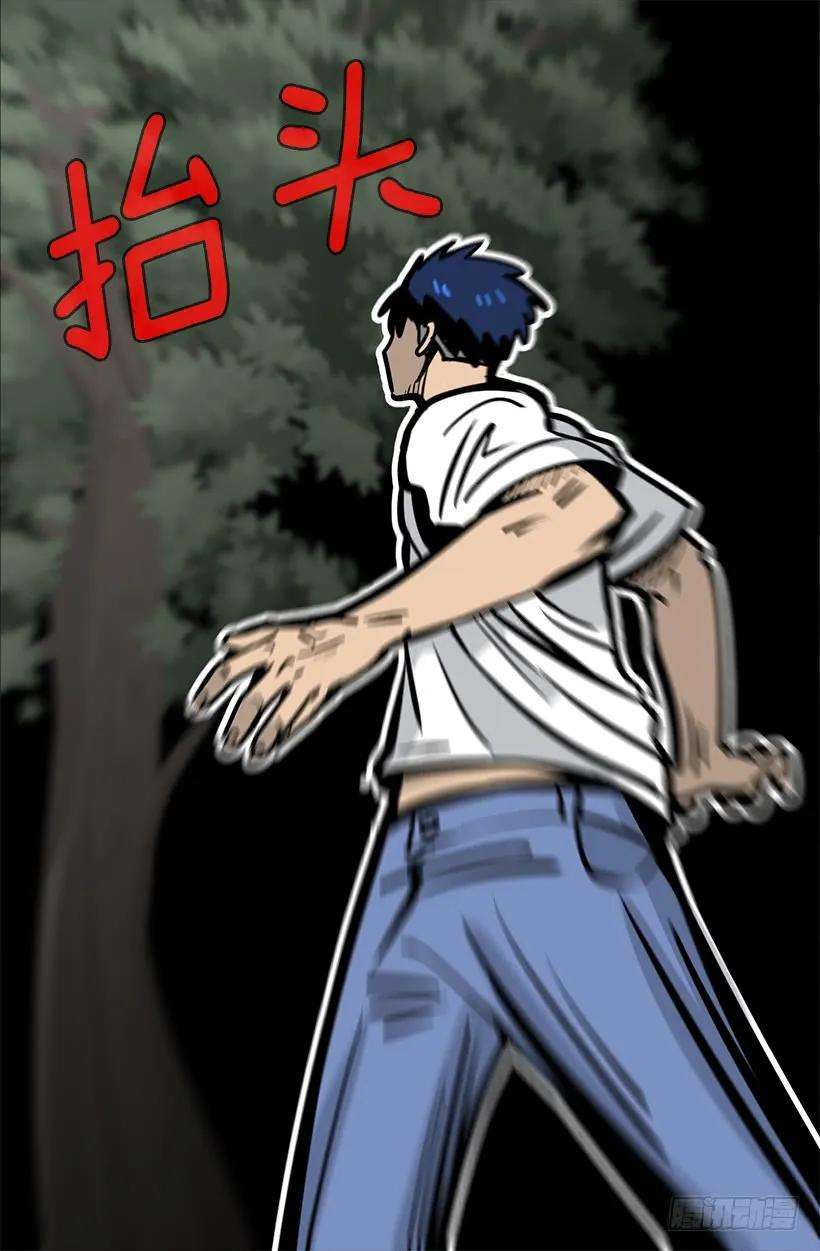 47.jpg