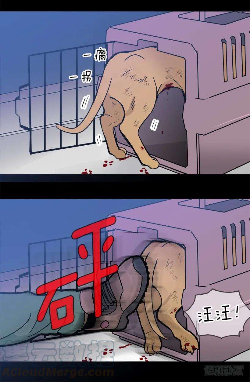 56.jpg