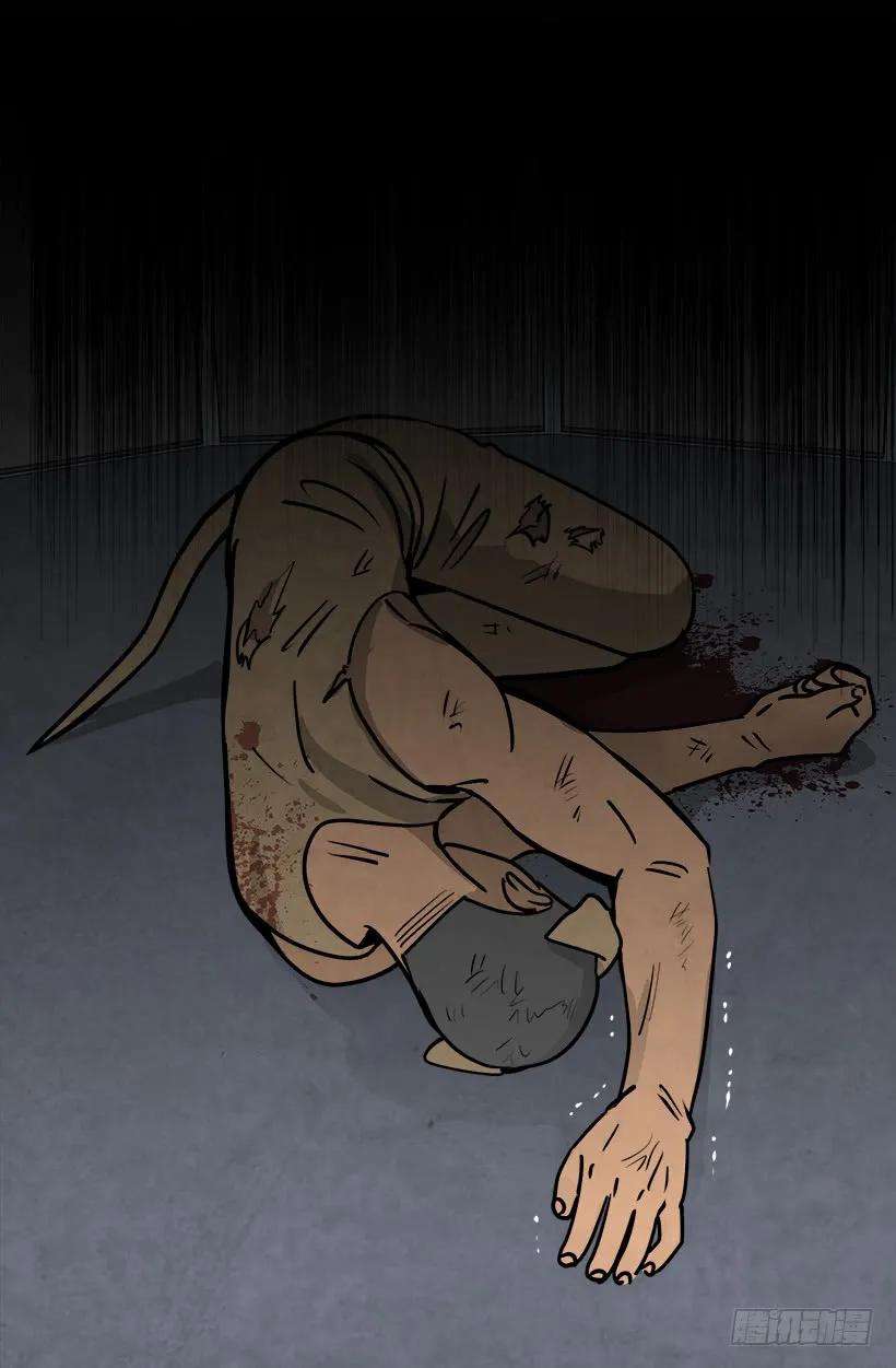 52.jpg