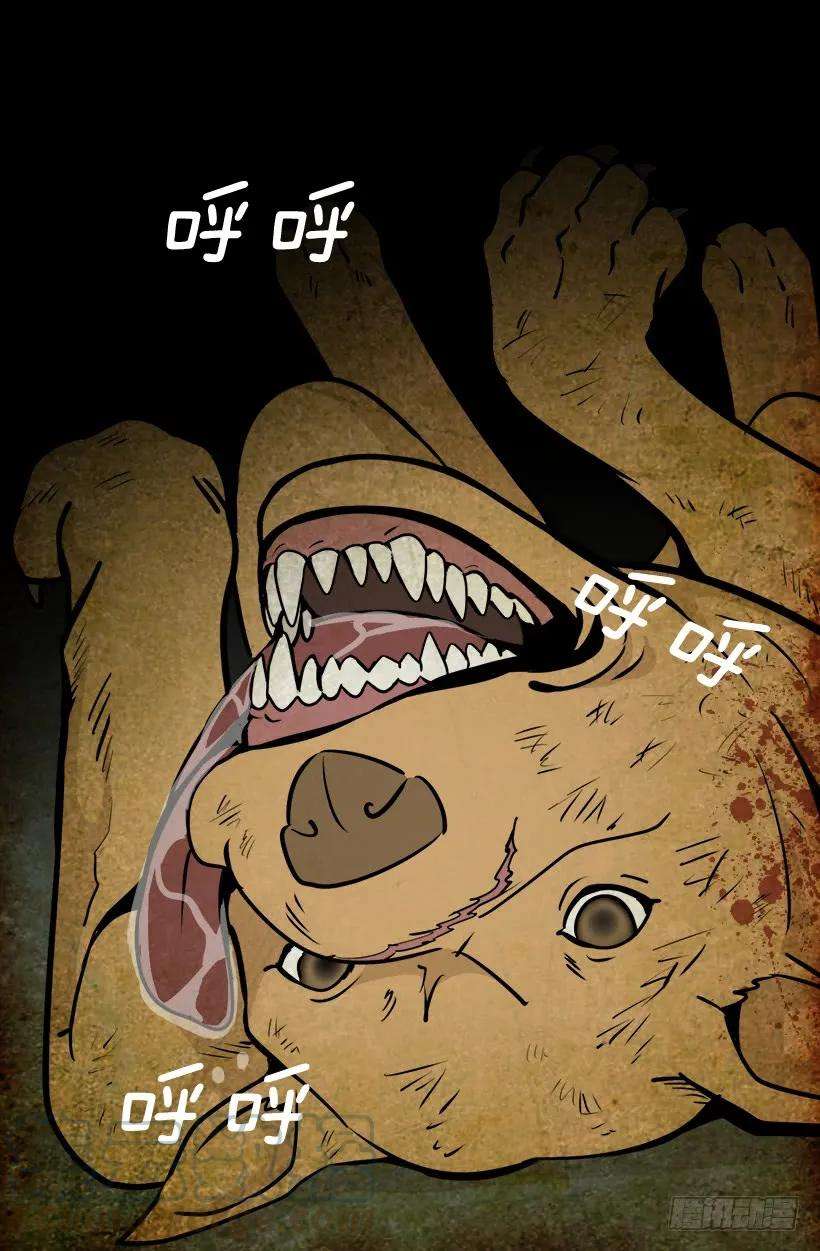 46.jpg