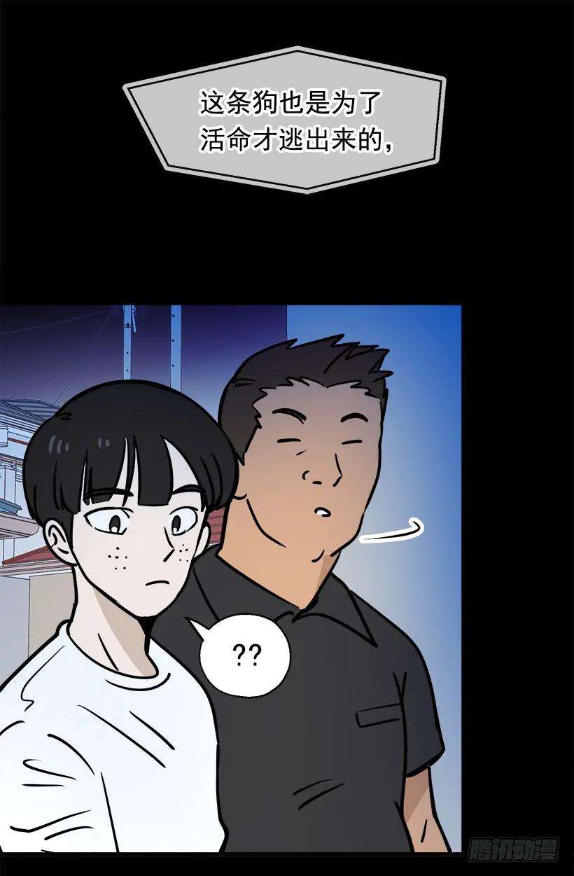 32.jpg