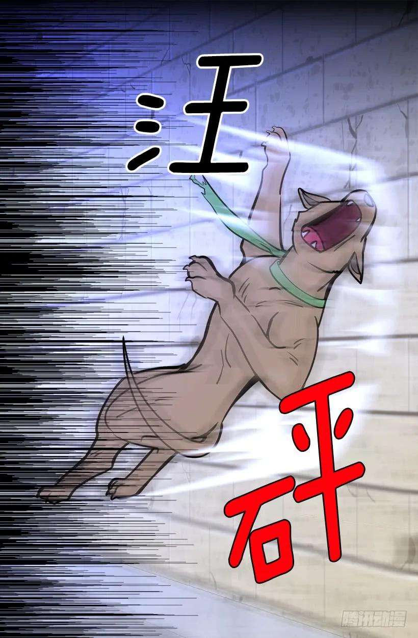 30.jpg