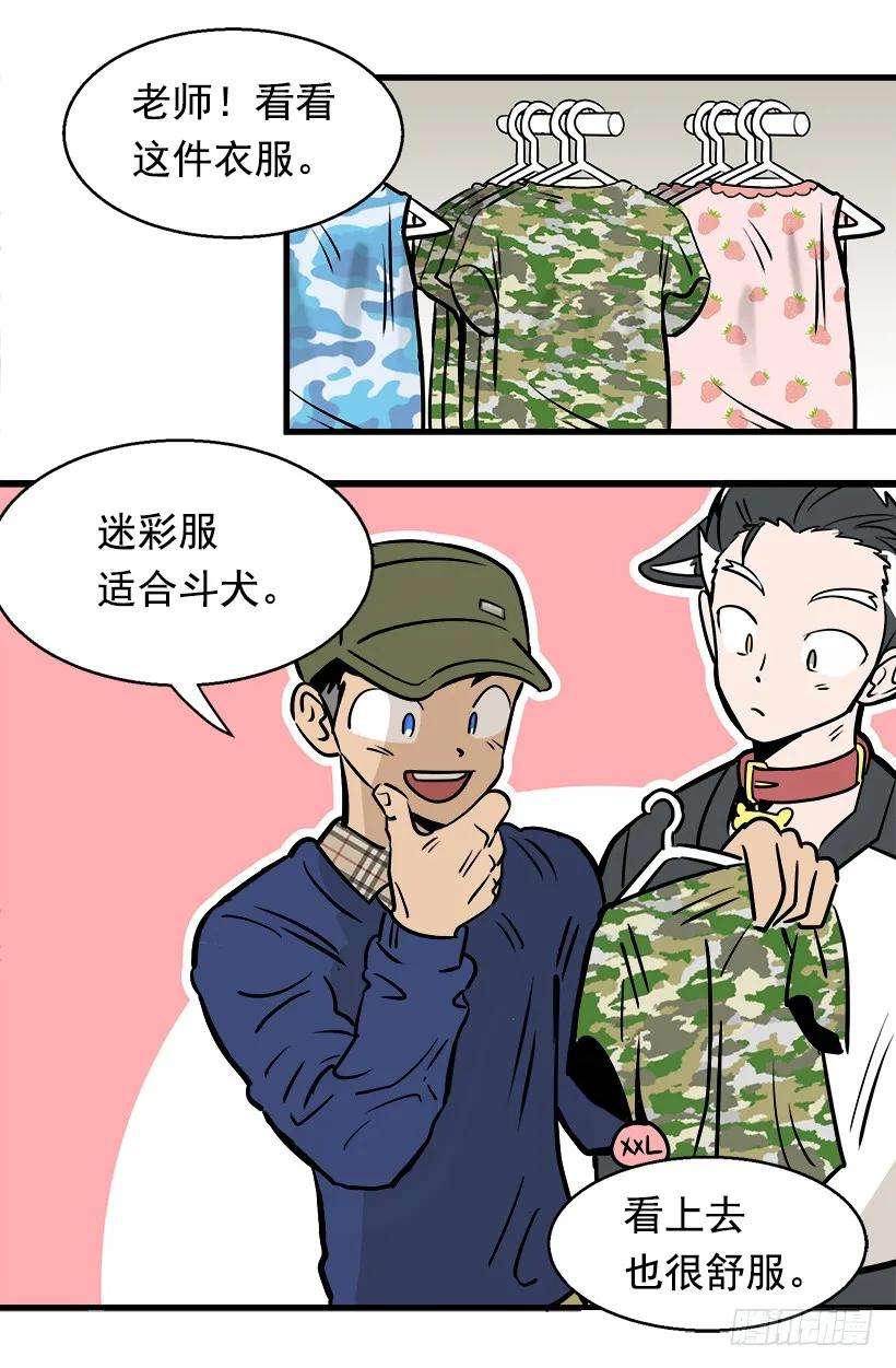 19.jpg