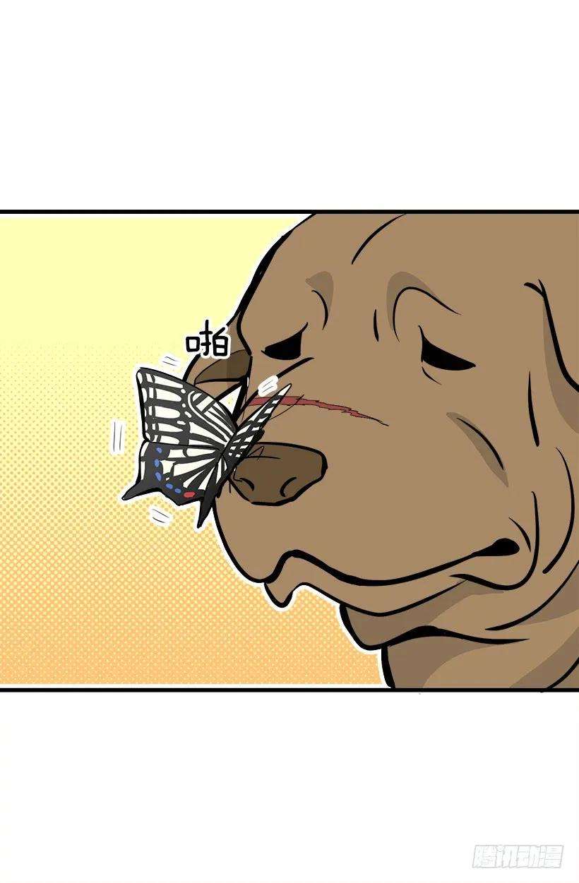 29.jpg