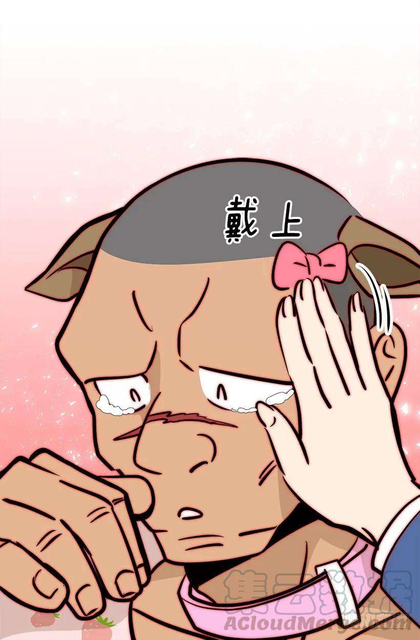 21.jpg