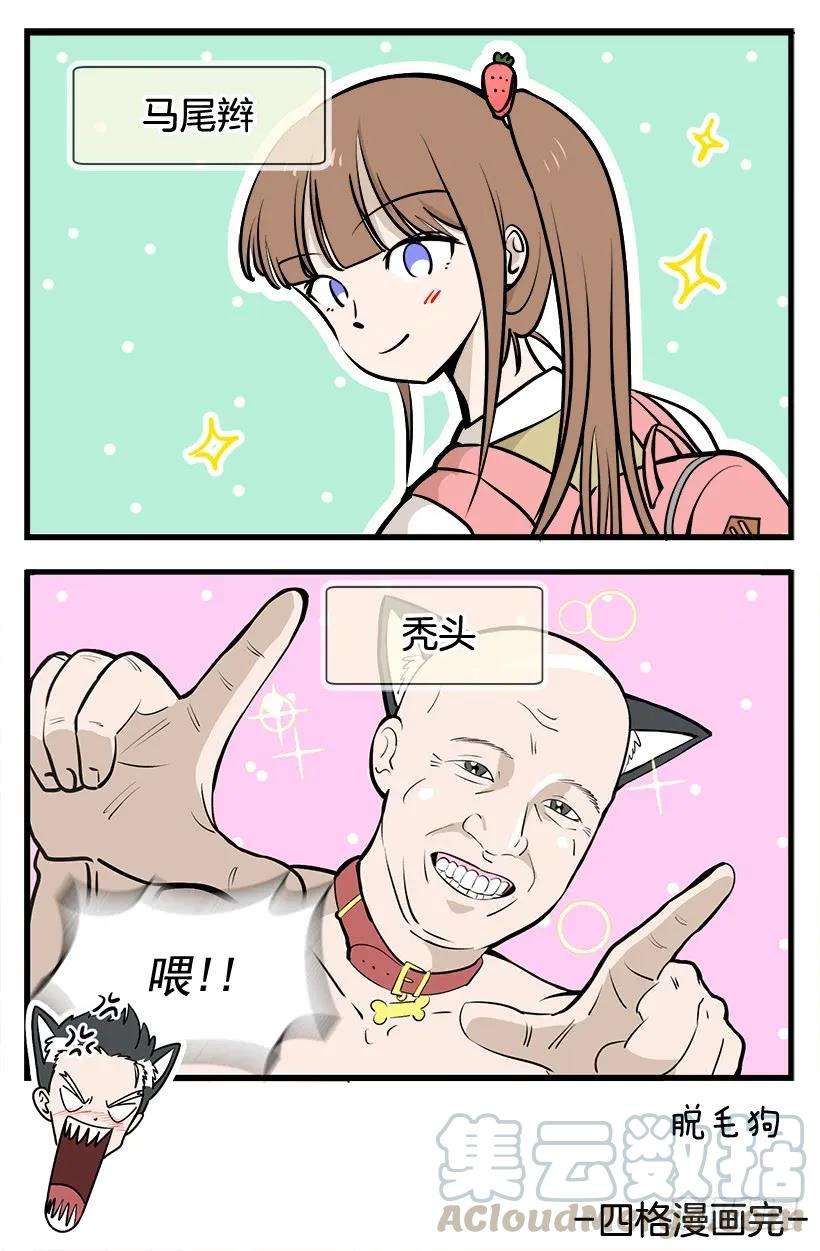 51.jpg