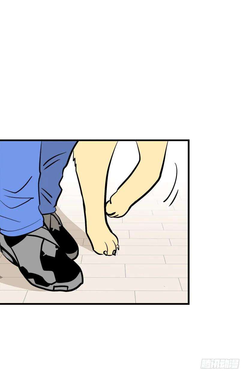 47.jpg