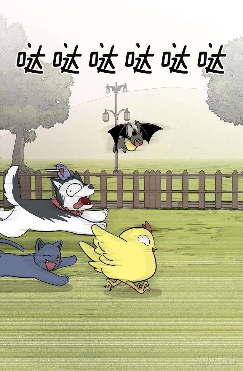 48.jpg