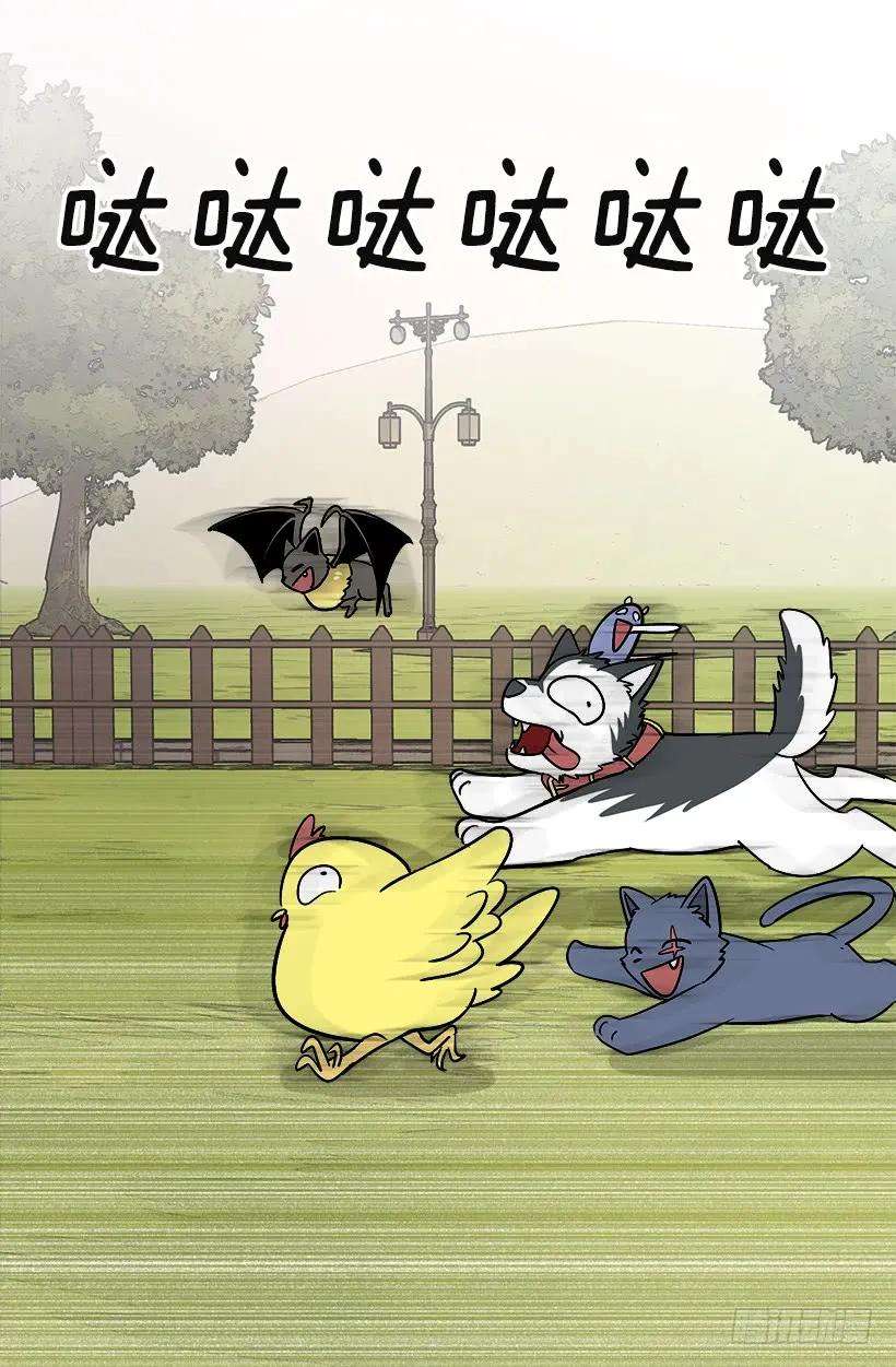 47.jpg