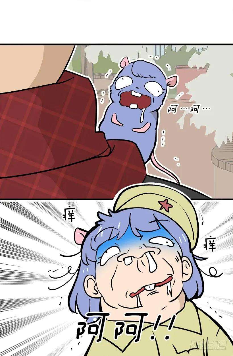 39.jpg